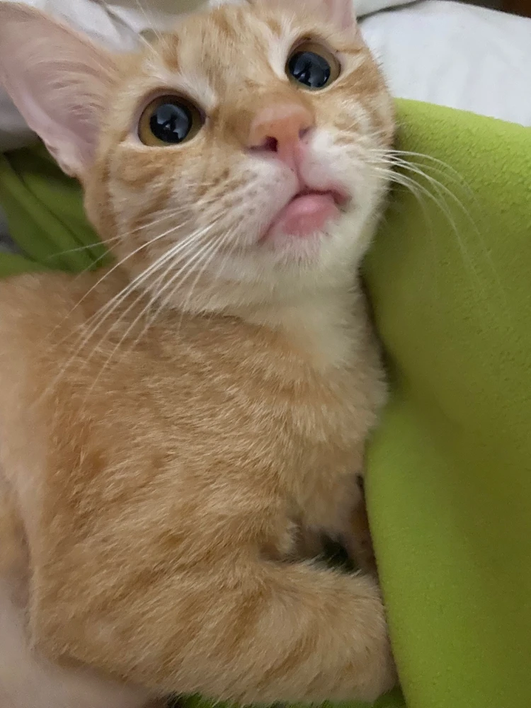 Image uploaded by Faith