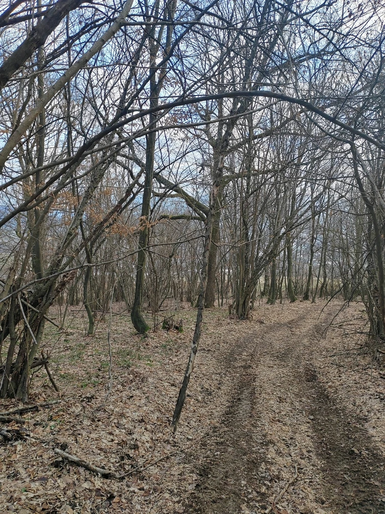 Fotku nahral/-a Michal