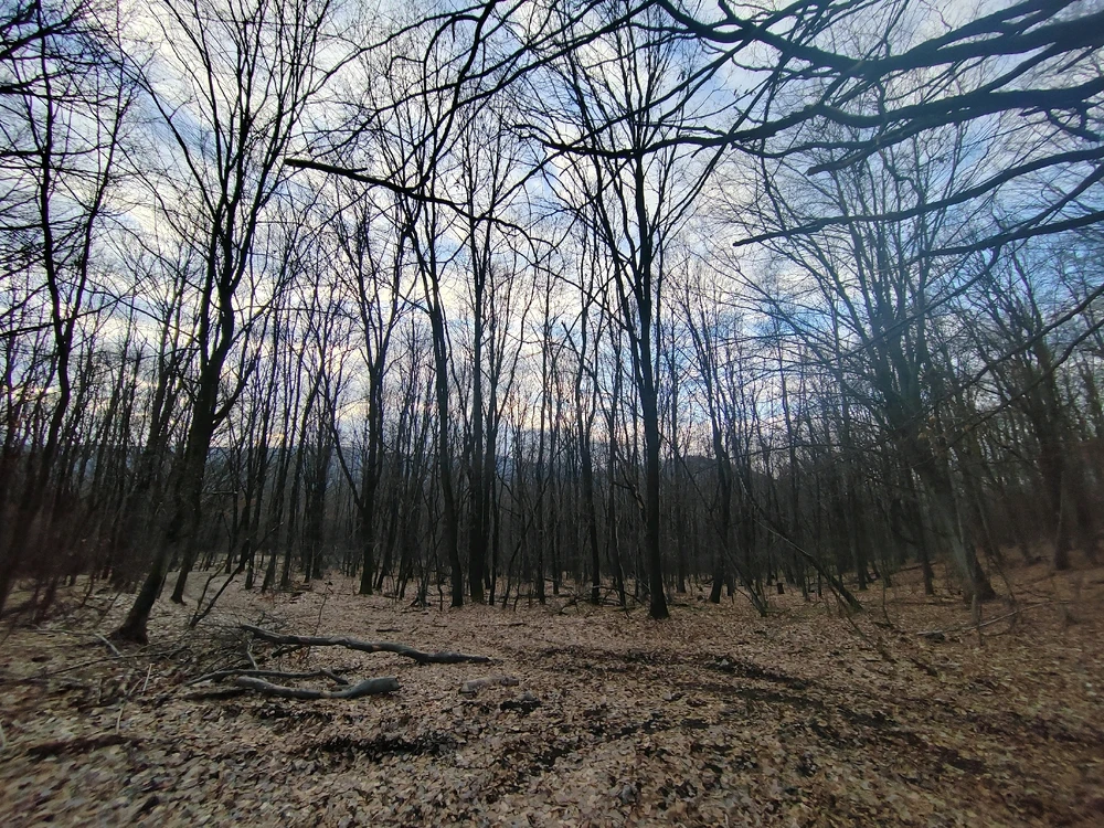 Fotku nahral/-a Michal