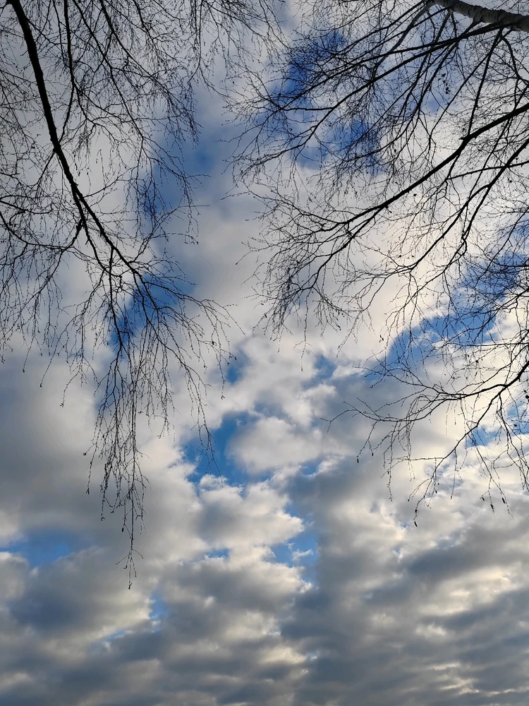 Fotku nahral/-a Michal