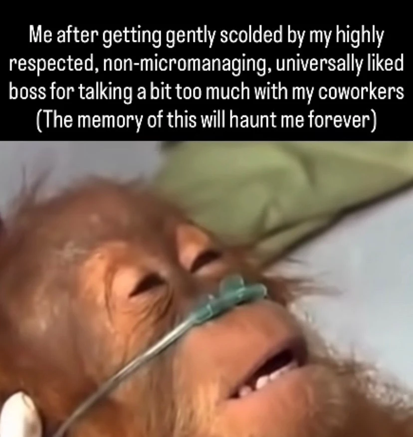 GIF uploaded by Faith