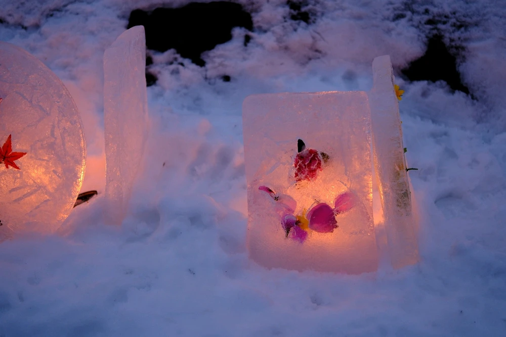 Image uploaded by Dvir