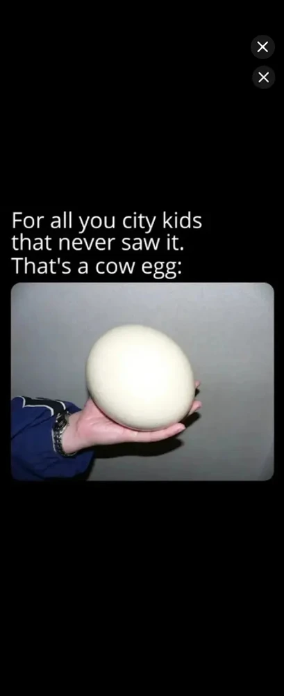 GIF uploaded by *JB* π¬π§π¬π·