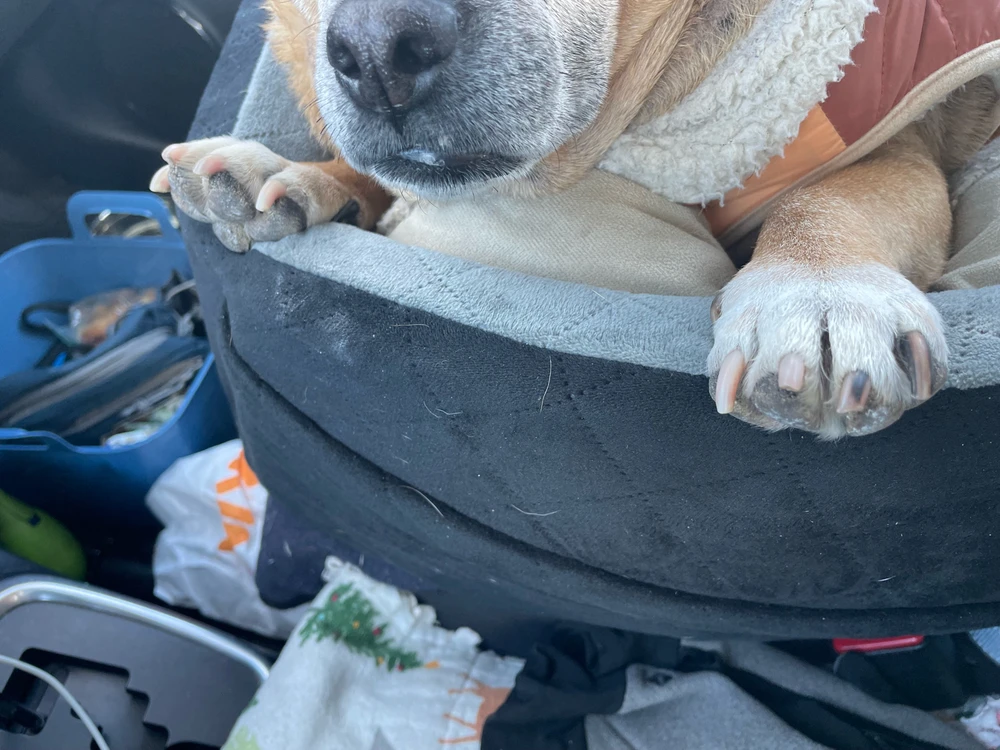 GIF uploaded by Heather