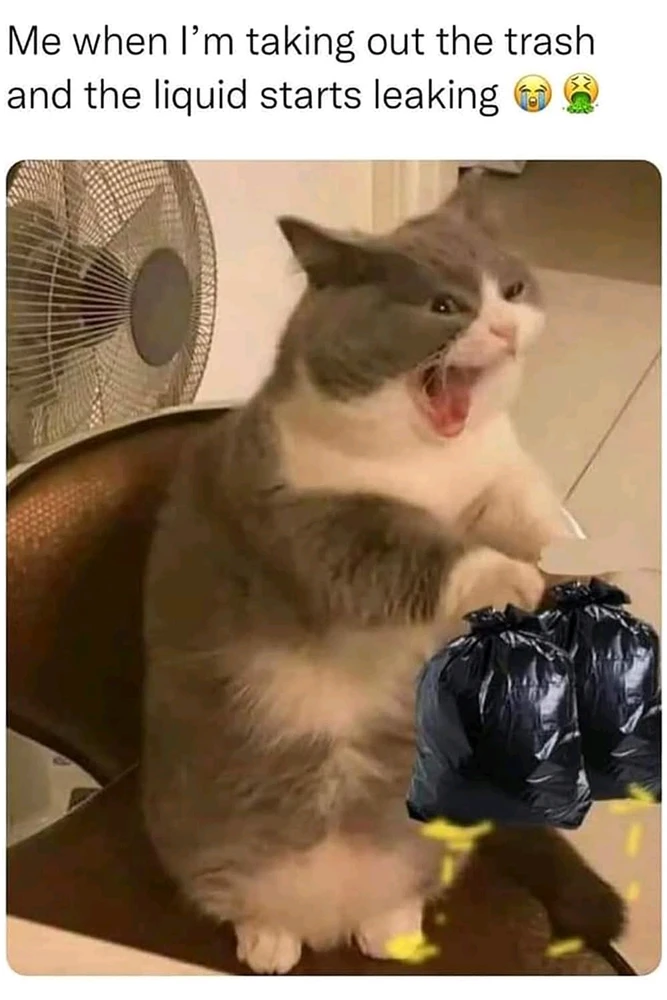 GIF uploaded by Crystal