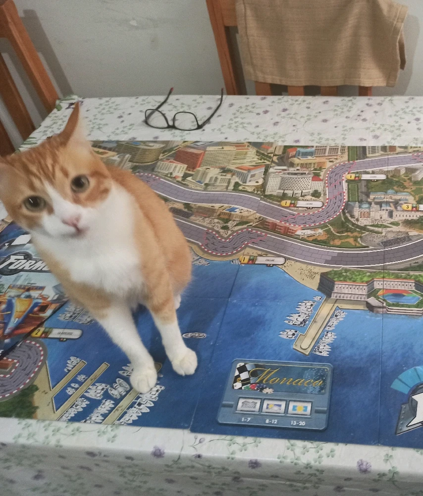 Imagem enviada por Lucas