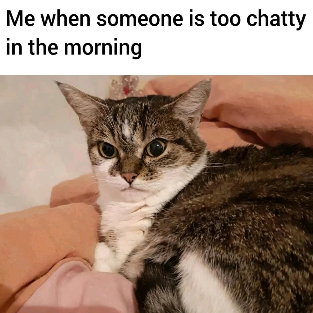 GIF uploaded by Shiri μ¬λ¦° π