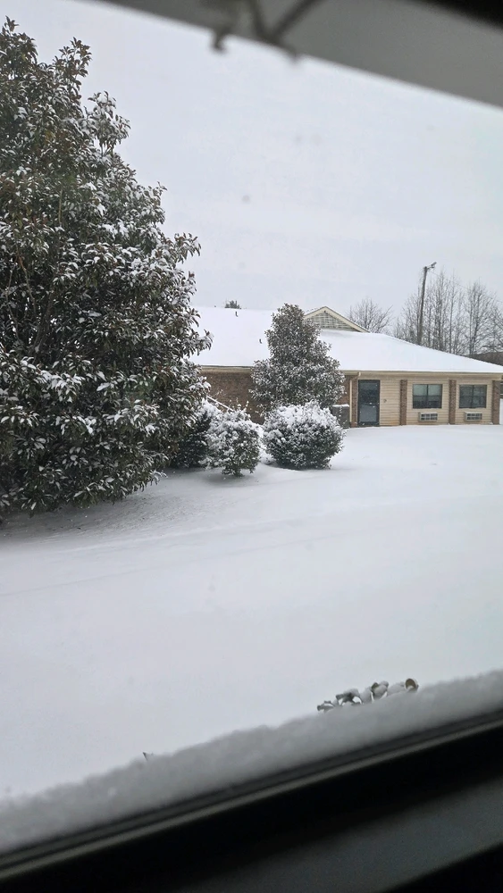 Image uploaded by DC