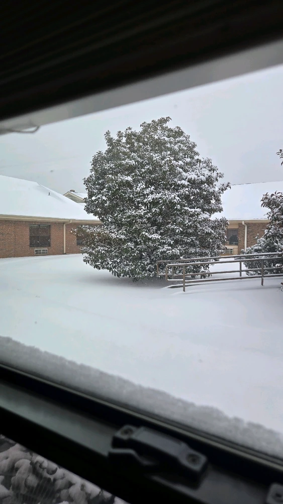 Image uploaded by DC