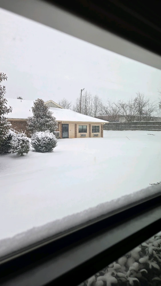 Image uploaded by DC