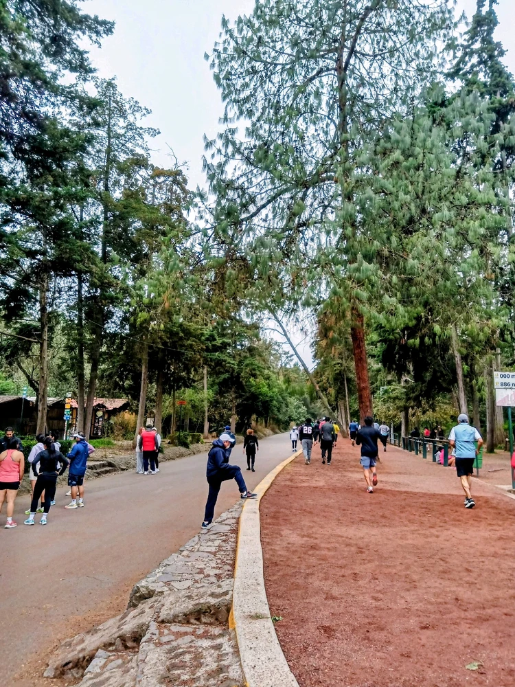 GIF subido por Pablo