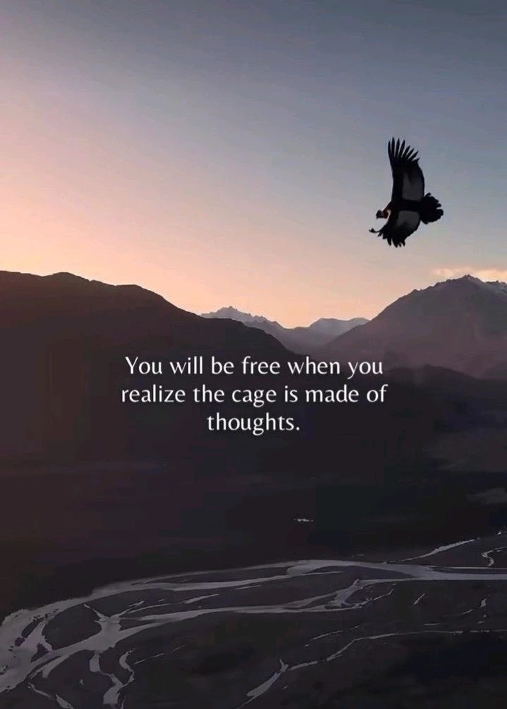 GIF hochgeladen von Feoh