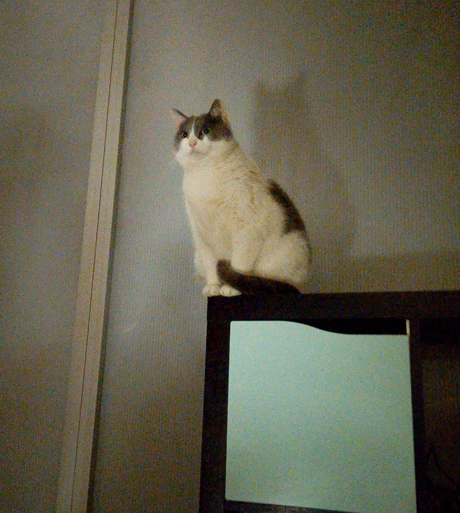 GIF uploaded by Mr Nice