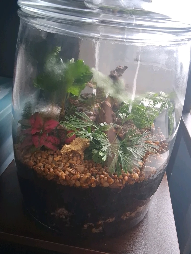 GIF uploaded by Kristina