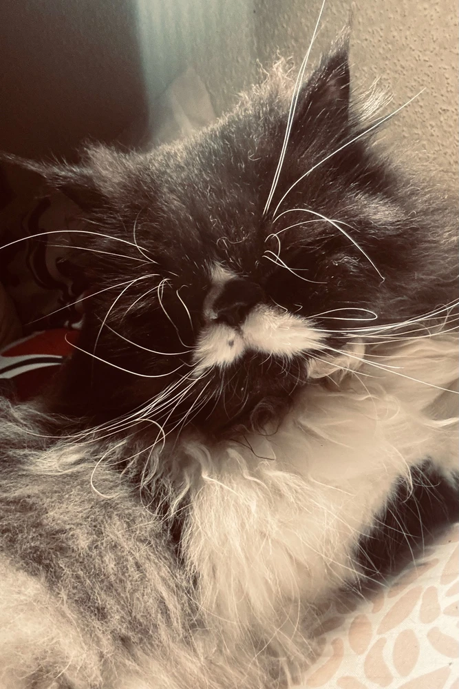 Image ajoutée par Mélanie