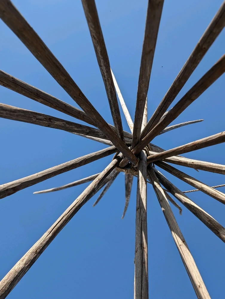 Image uploaded by William