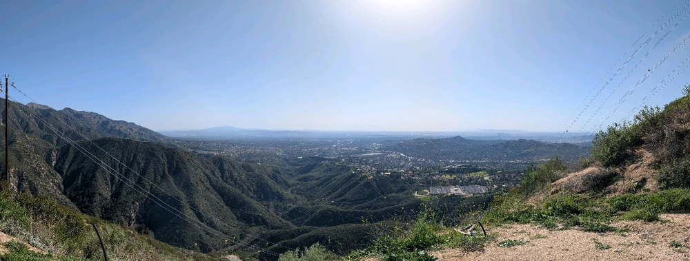 Image uploaded by William