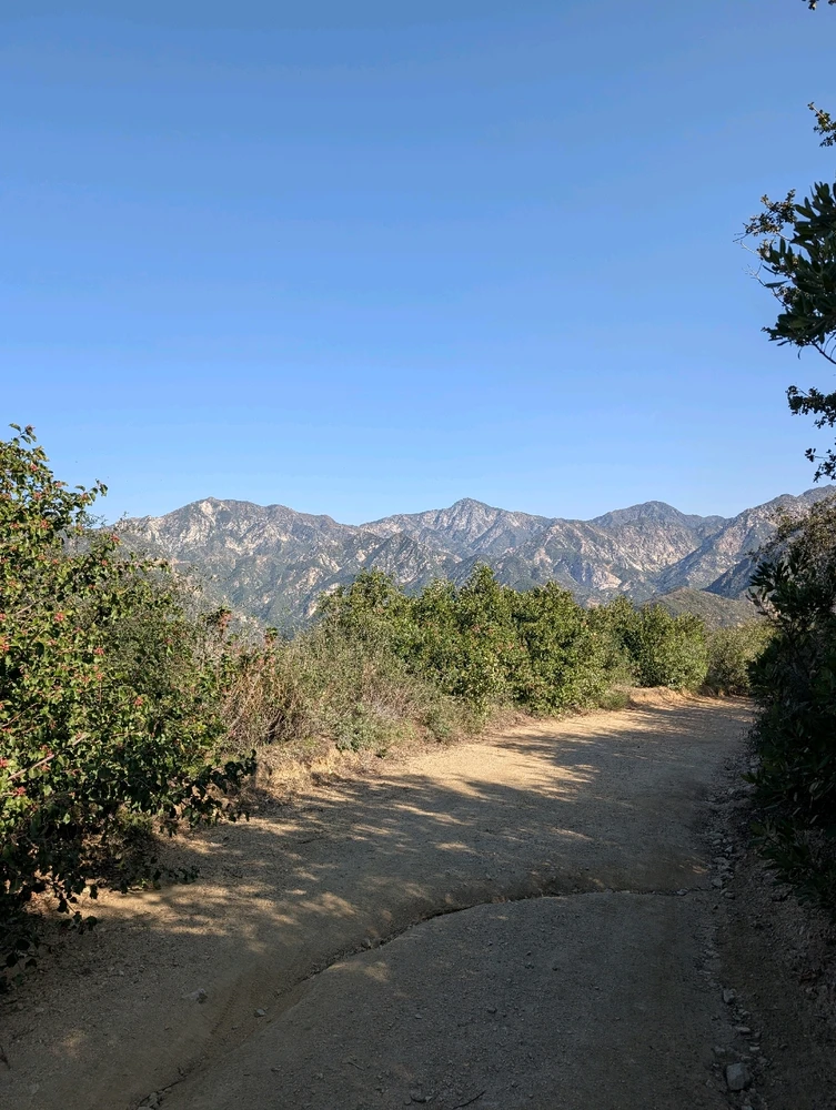 Image uploaded by William