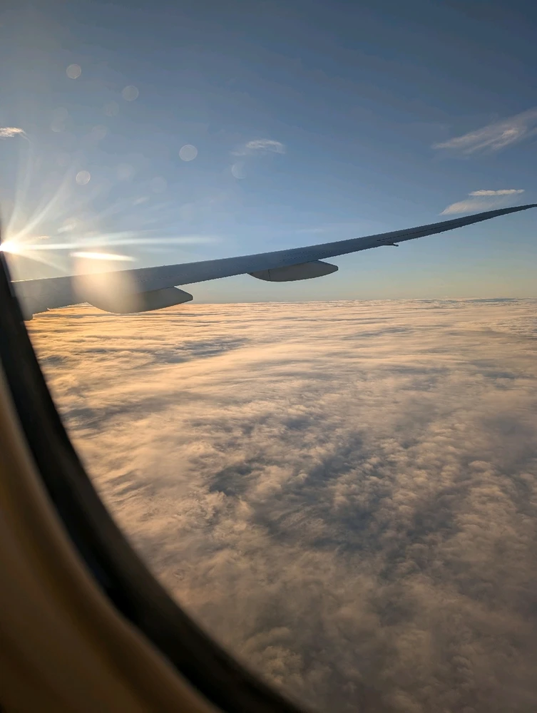 Image uploaded by Dom