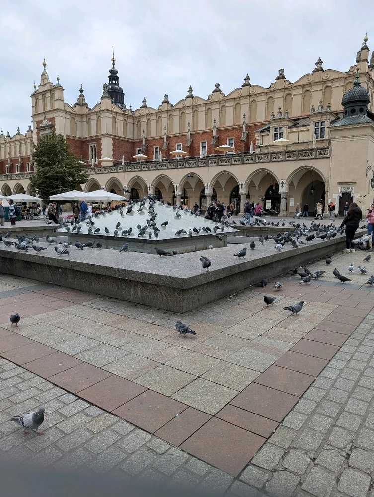 Image uploaded by Dom