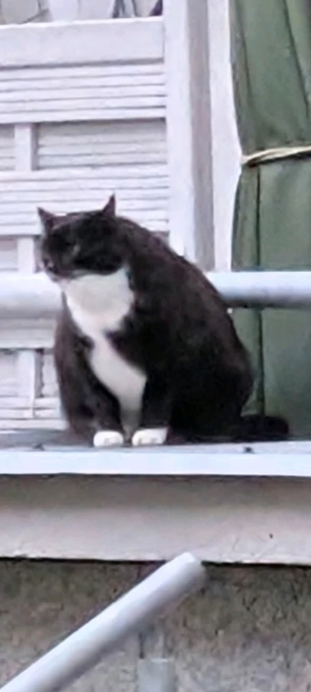 Image uploaded by Dom