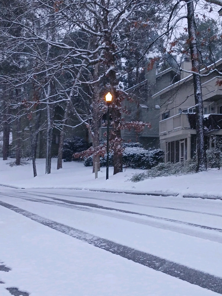 Image uploaded by Lacey