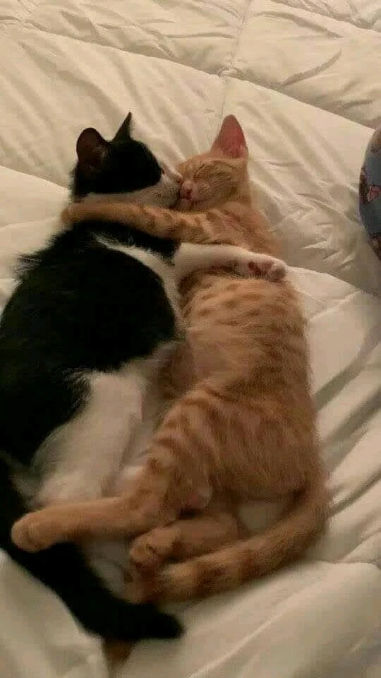 Imagem enviada por Thayna