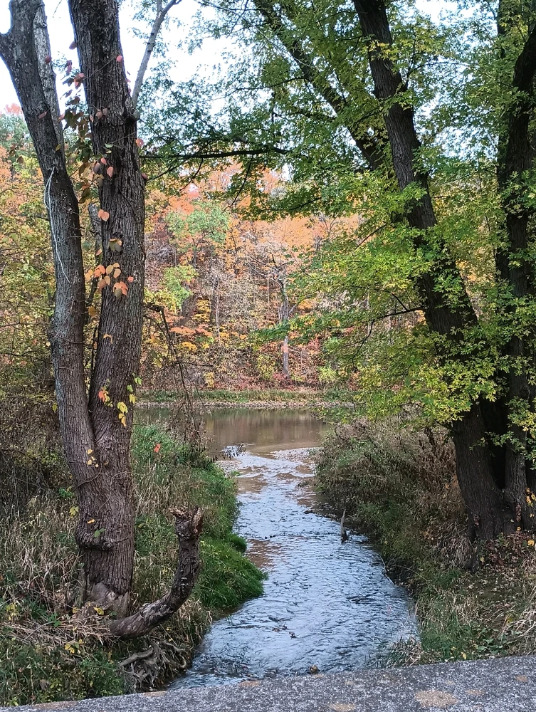 Kishawaukee River Park Trail