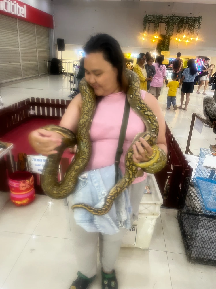 令子 (Rei)上傳的圖片