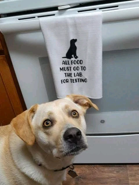 GIF uploaded by β΅Ρα Υ΅β΅Ξ»