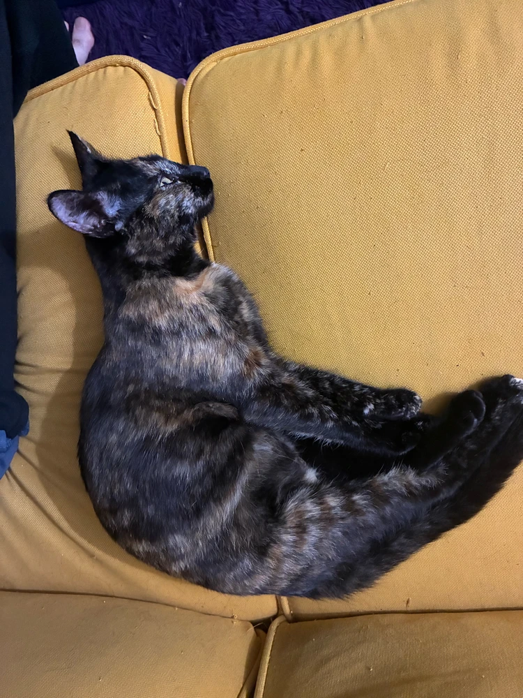 Image uploaded by Cole