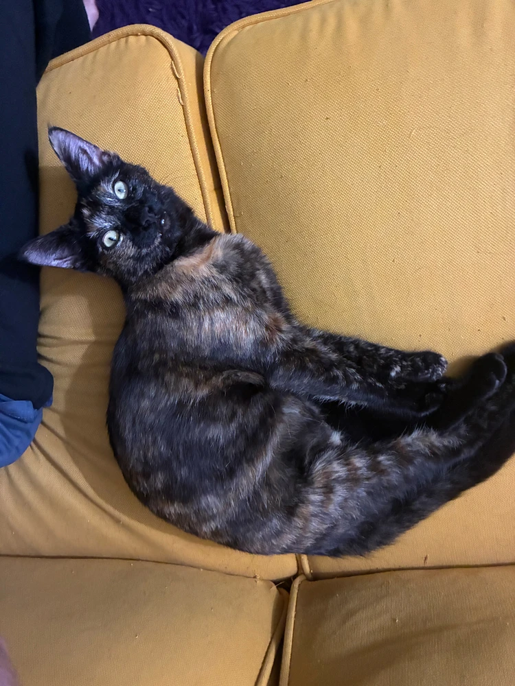 Image uploaded by Cole