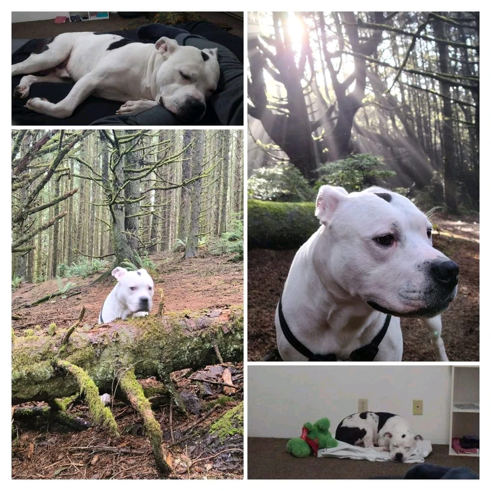 Image uploaded by Steven