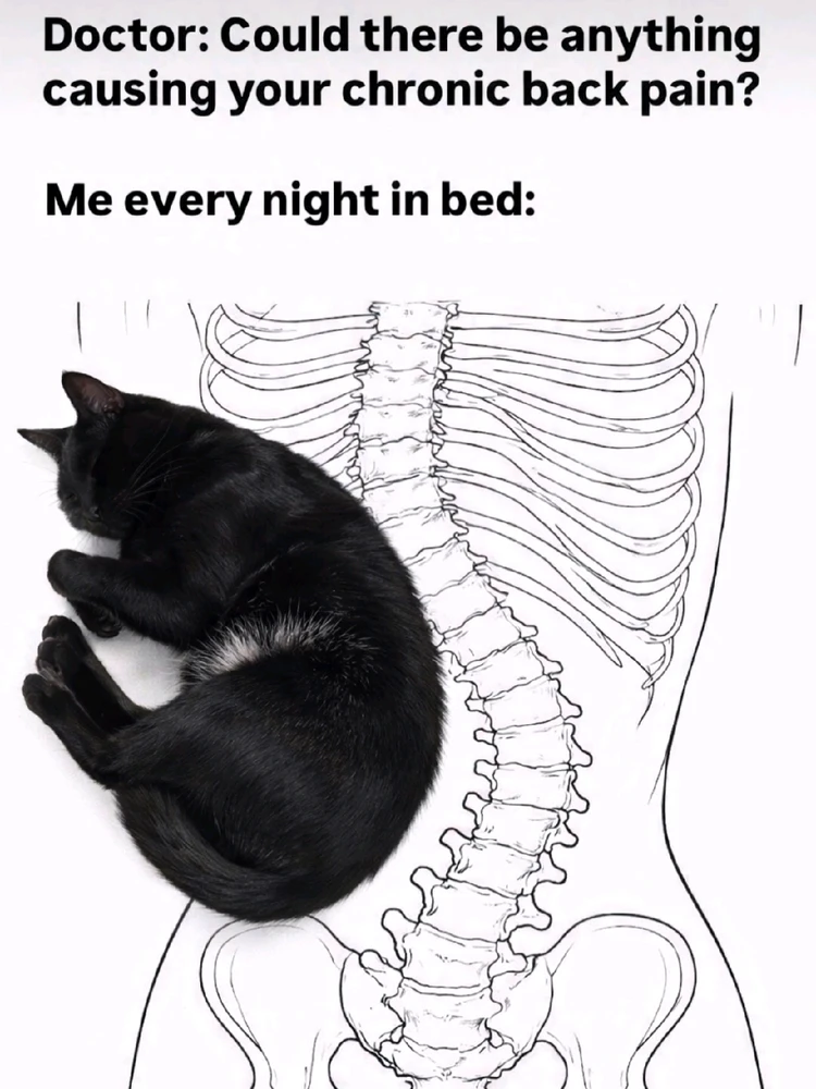 GIF hochgeladen von 𝕁𝕖𝕤𝕤𝕚𝕔𝕒