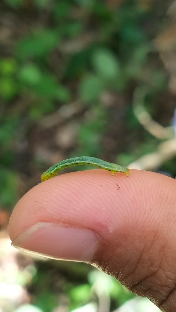 Imagen subida por Manuel