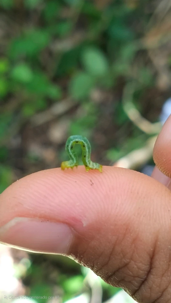 Imagen subida por Manuel