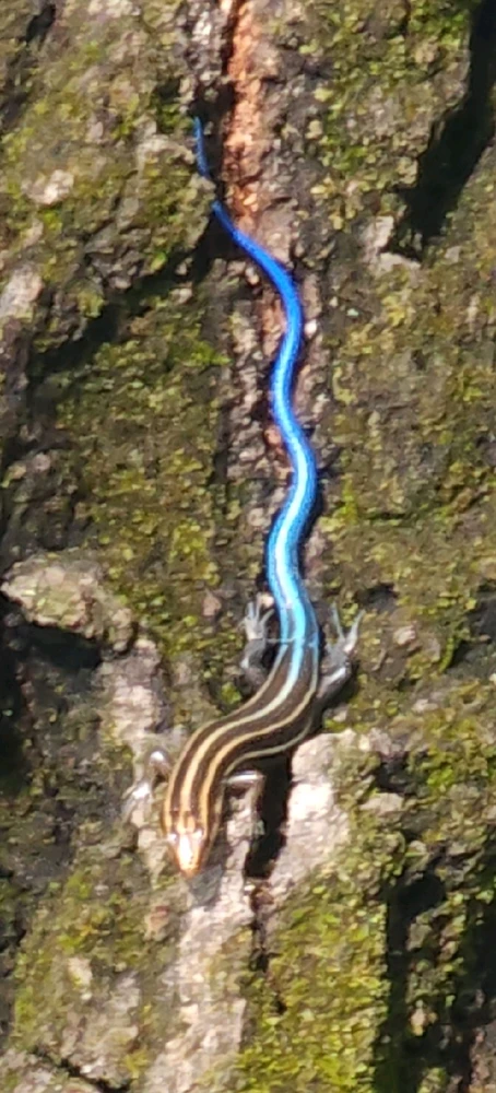 Image uploaded by Mike