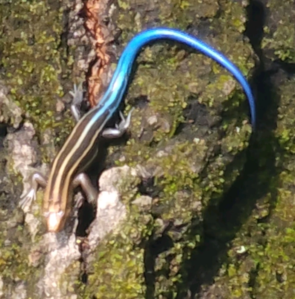 Image uploaded by Mike