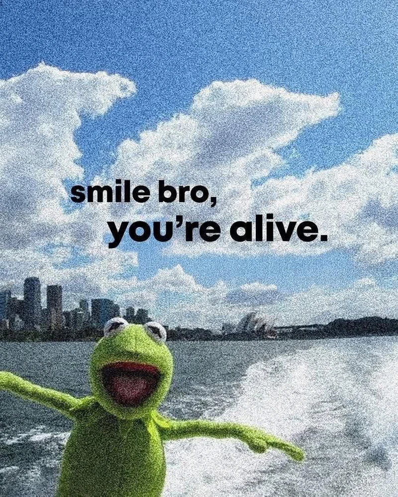 GIF uploaded by Silvio