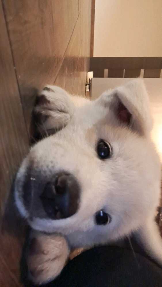 Zdjęcie dodane przez Mela