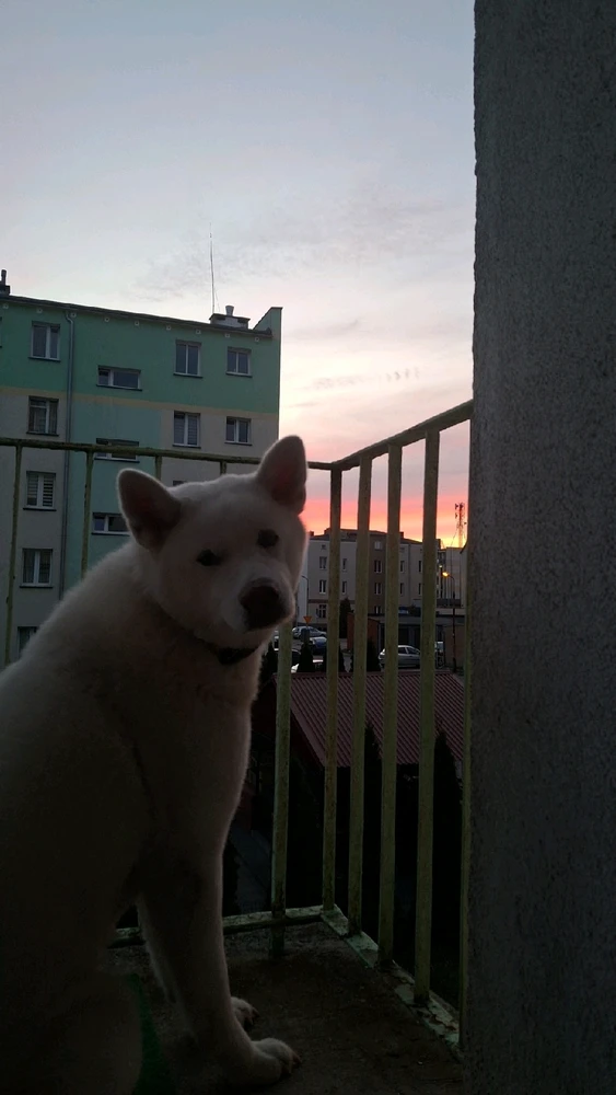 Zdjęcie dodane przez Mela