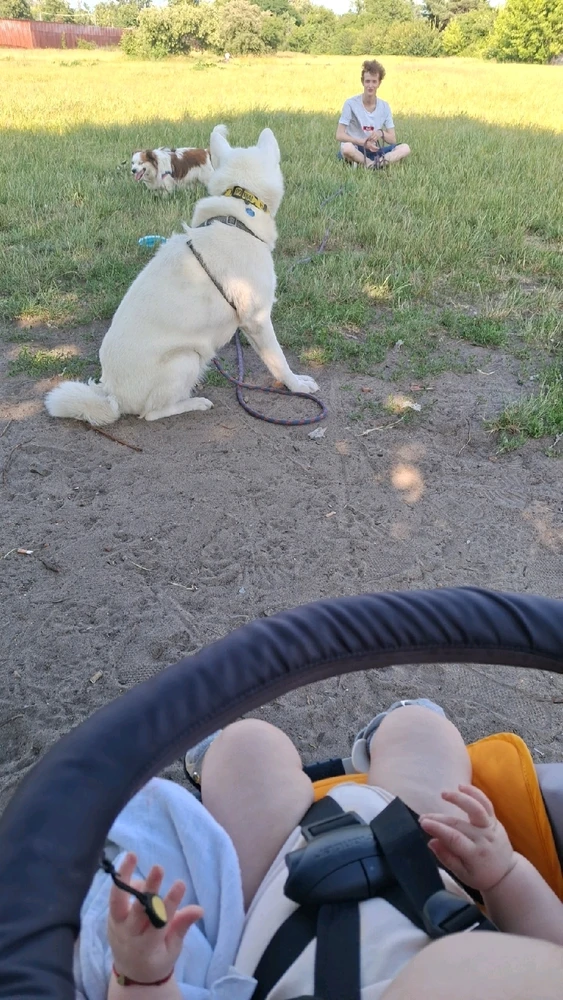 Zdjęcie dodane przez Mela