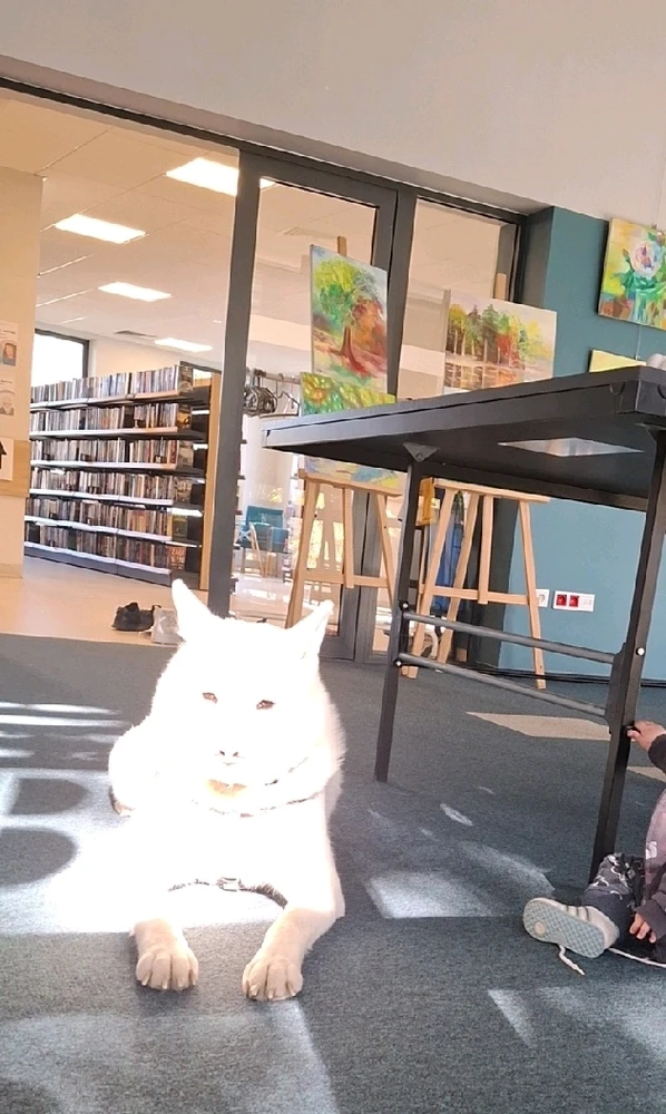 Zdjęcie dodane przez Mela