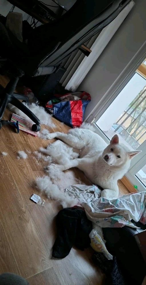 Zdjęcie dodane przez Mela