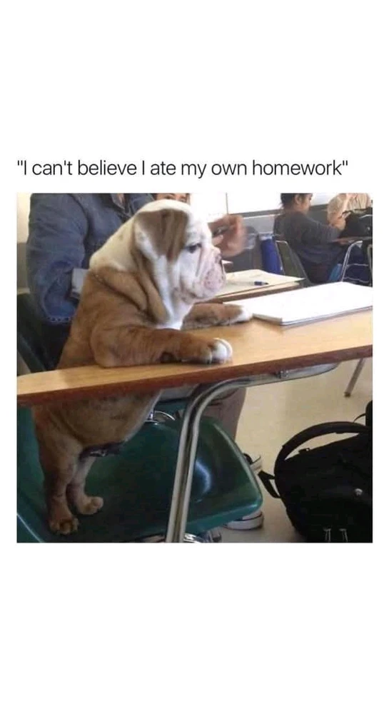 GIF hochgeladen von Hackfleischhassenderzerhacker