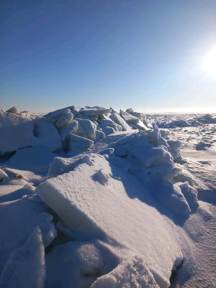 Kristjan laadis üles pildi