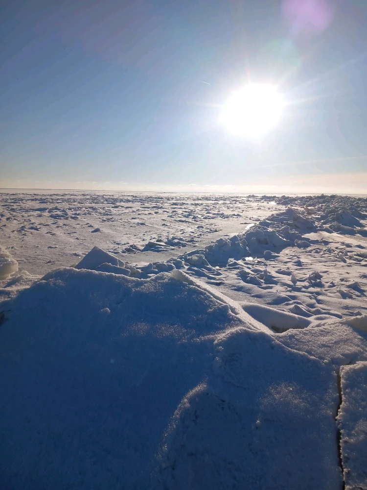 Kristjan laadis üles pildi