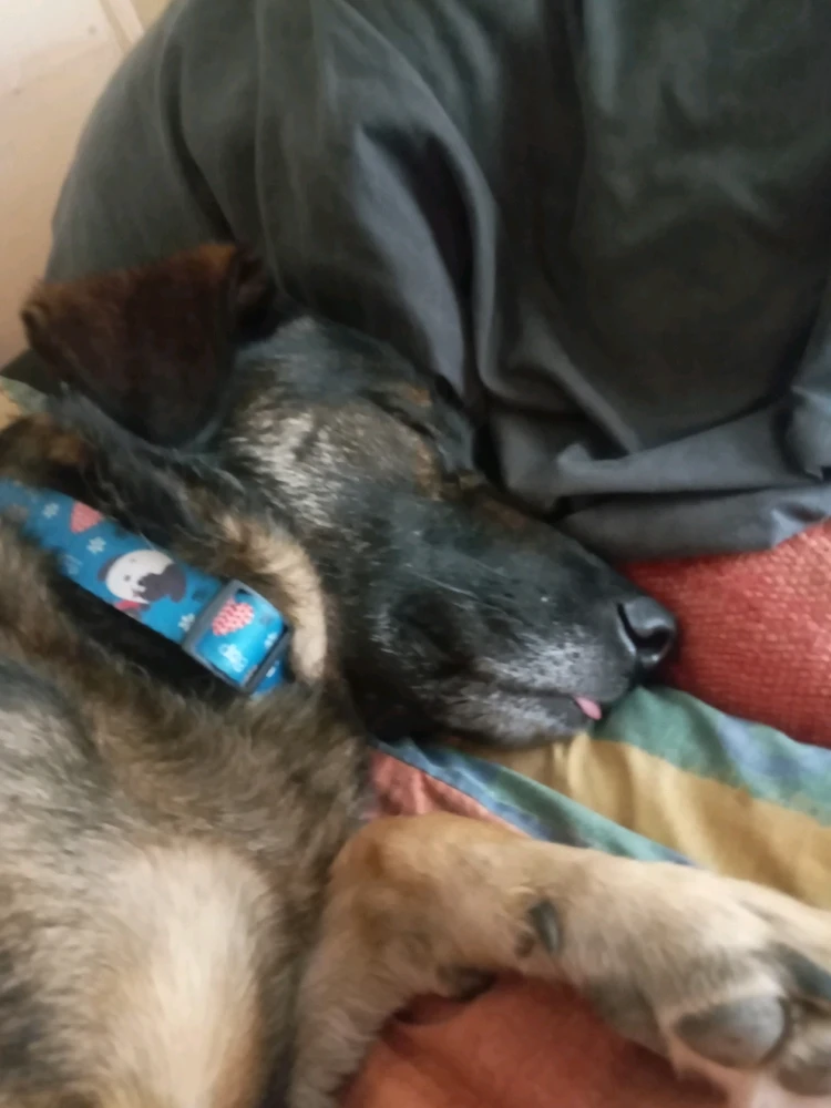 Imagen subida por Rodrigo