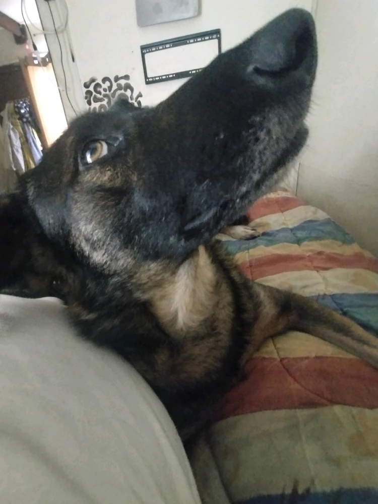 Imagen subida por Rodrigo