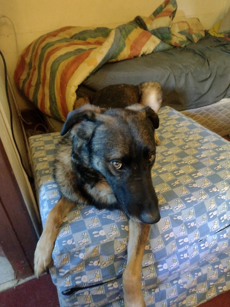 Imagen subida por Rodrigo